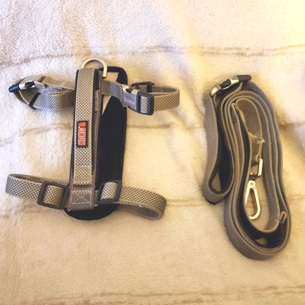 KONG Leash & Harness